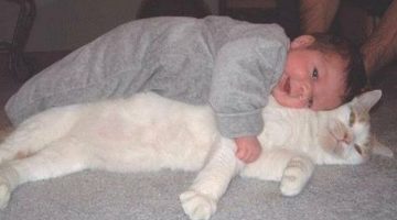 baby-hugs-cat