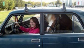 driving-ms-pony