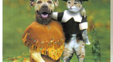 FunnyPics_thanksgiving_dog_and_cat.320224550_std