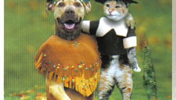 FunnyPics_thanksgiving_dog_and_cat.320224550_std