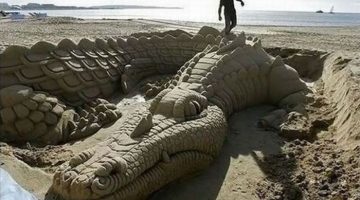 sand-gator