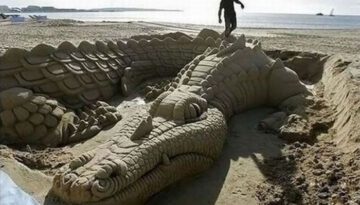 sand-gator