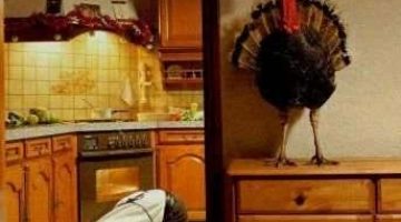 thanksgiving_funny_picture_07