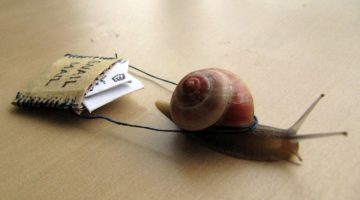 snail-mail