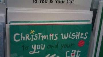 to-you-and-your-cat