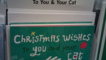 to-you-and-your-cat