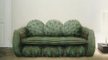 cactus-couch