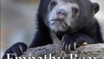 empathy-bear