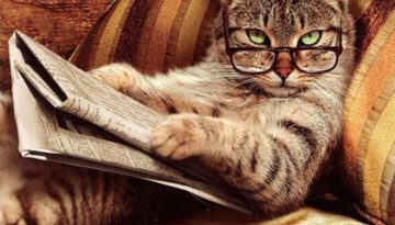 cat-reading-paper