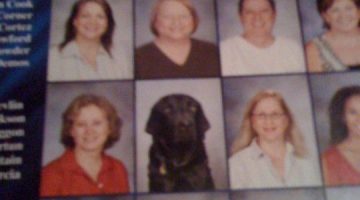 yearbook-dog