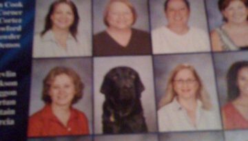yearbook-dog