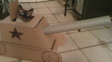 cat-tank