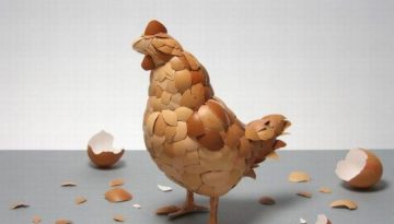 egg-shell-chicken
