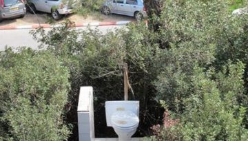 hidden-toilet