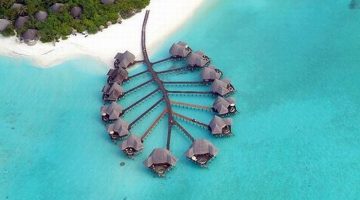 leaf-water-huts