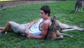 chilling-with-kangaroo
