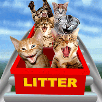 coaster-cats