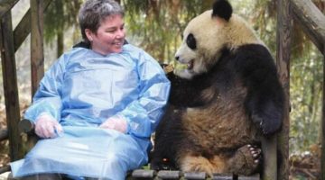 sitting-next-to-a-panda