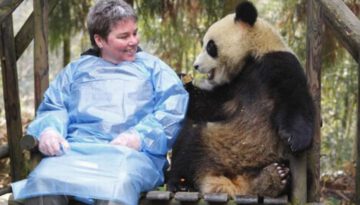 sitting-next-to-a-panda