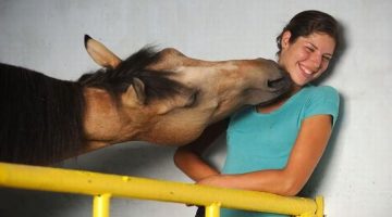 horse-kiss