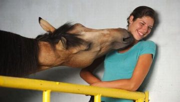 horse-kiss