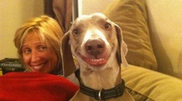 smiling-dog