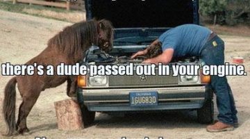 mechanic-pony