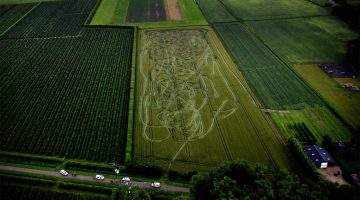 police-chase-in-field