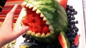 watermelon-shark