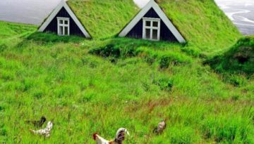 grass-roofs
