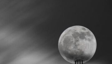 moon-fork