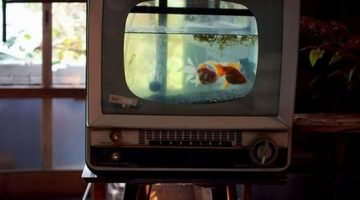 tv-fishtank