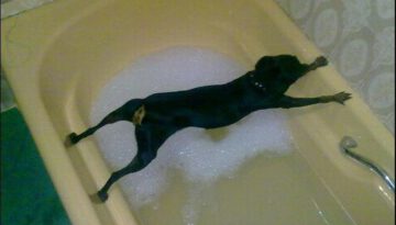 dont-want-bath