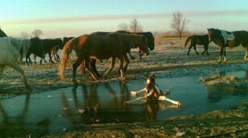 pony-on-ice