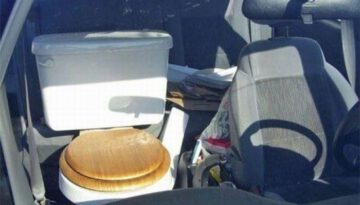 toilet-car-seat