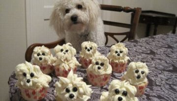 dog-cupcakes