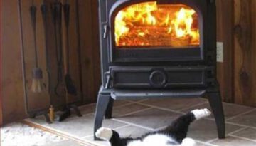 happiness-is-a-warm-butt