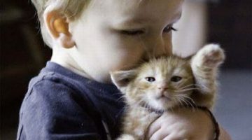 kid-hugs-kitten