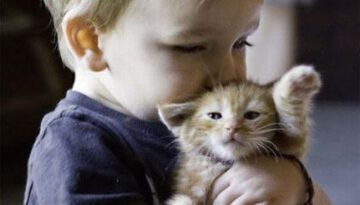 kid-hugs-kitten