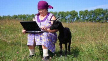 laptop-goat