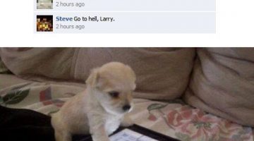 puppy-on-facebook