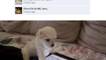 puppy-on-facebook