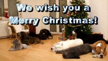 Dogs Decorating Christmas Tree