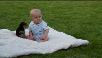 Baby Plays with Puppy