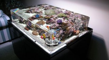 aquarium-table