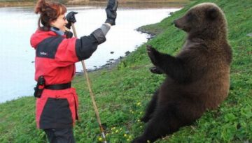 greeting-a-bear