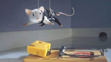 mouse-on-a-mission