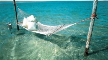 ocean-hammock