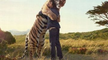 tiger-hug