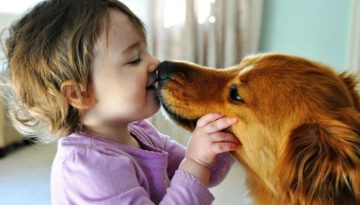 dog-kiss